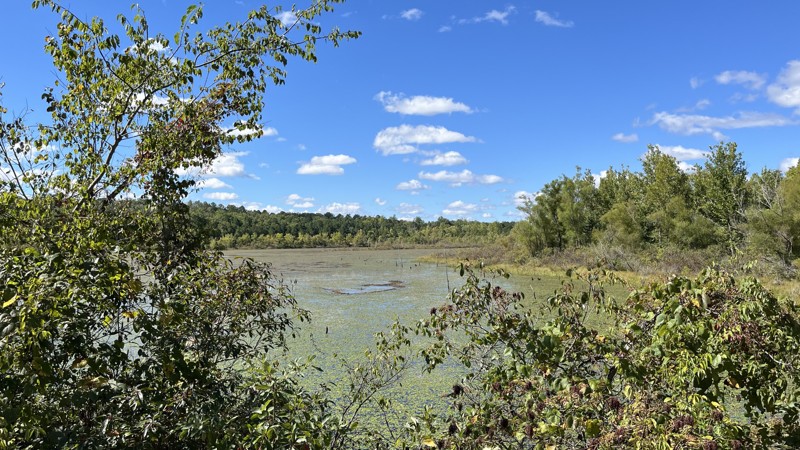Stringtown Branch Trail Review Photo