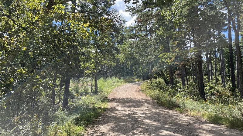 Old Tiff Mill Trail Review Photo
