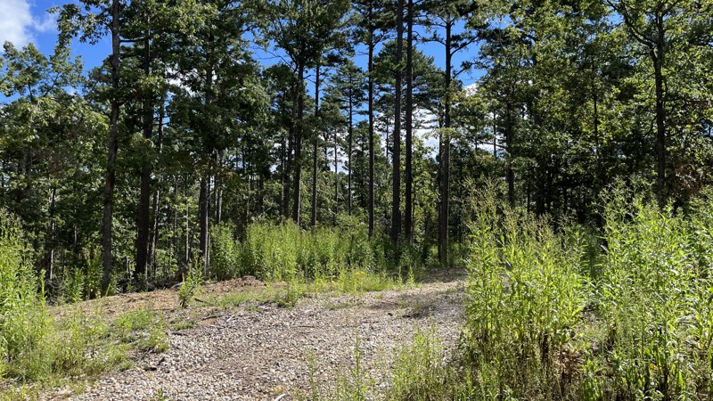 Old Tiff Mill Trail Review Photo