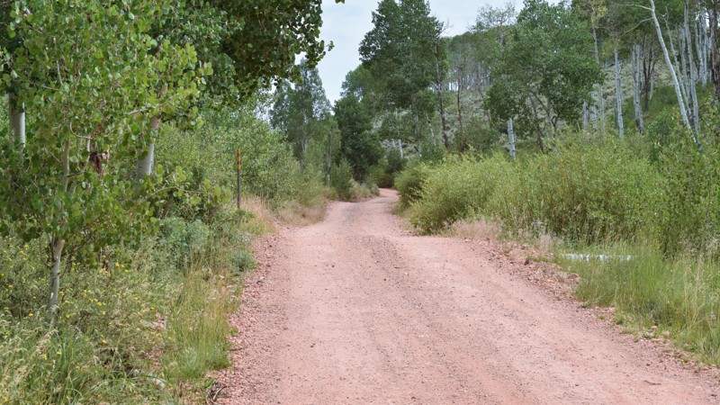 Monroe Mountain Road Trail Review Photo