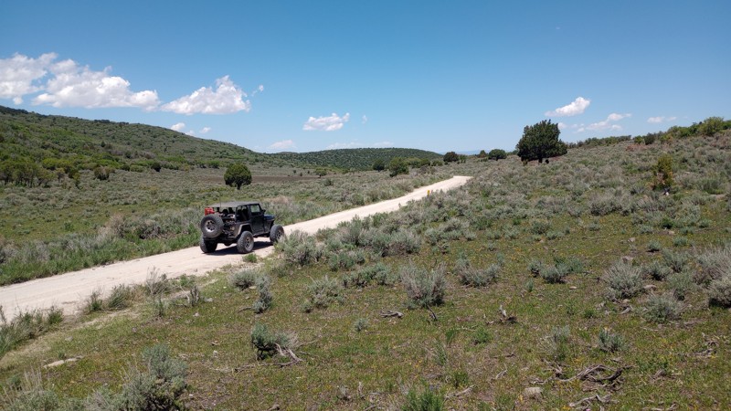 Brush Trail Trail Review Photo