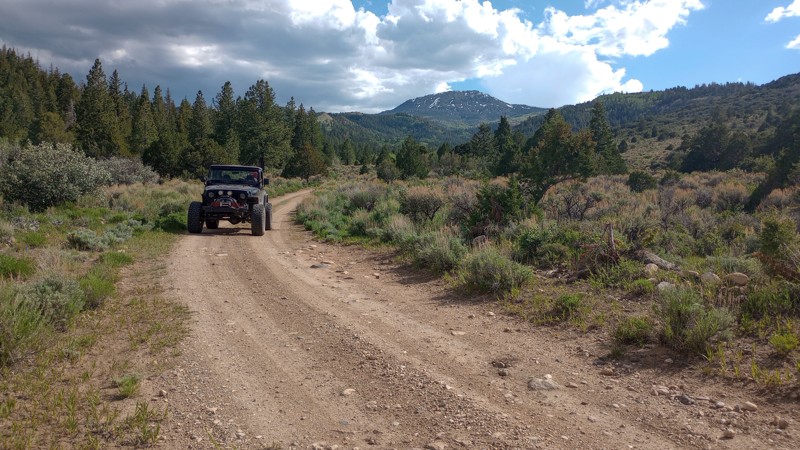 Red Creek Trail Review Photo