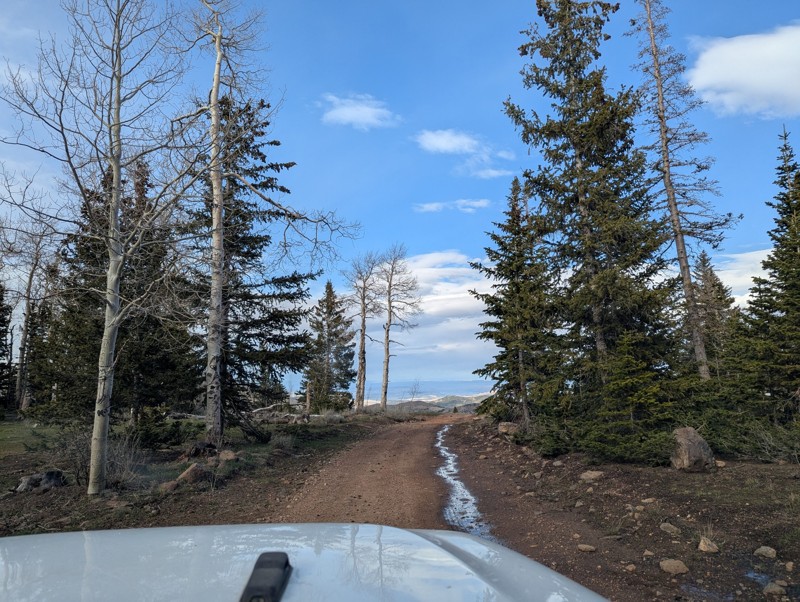 Red Creek Trail Review Photo