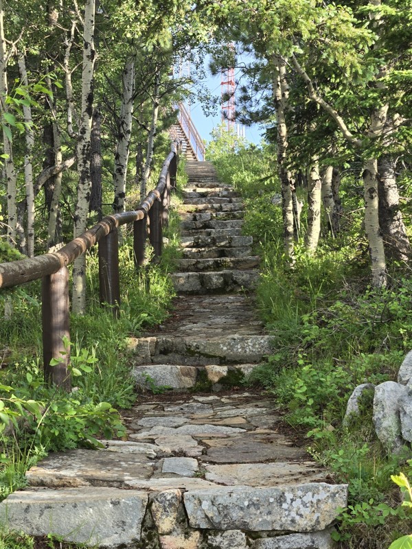 Terry Summit Road Trail Review Photo