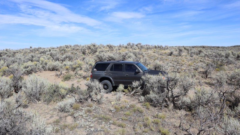 Hamer 3100 E Trail Review Photo
