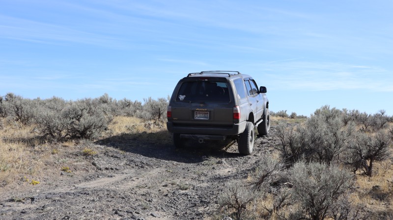 Southern Redwood Road Trail Review Photo