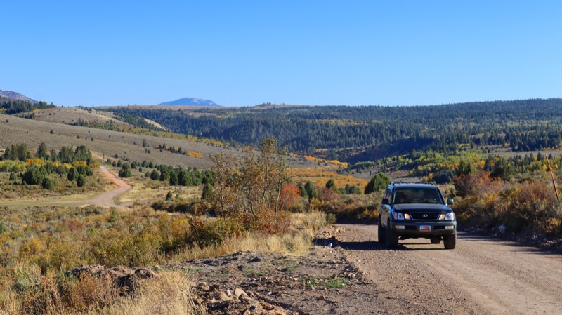 Idaho: Pebble Creek Road Hero Photo