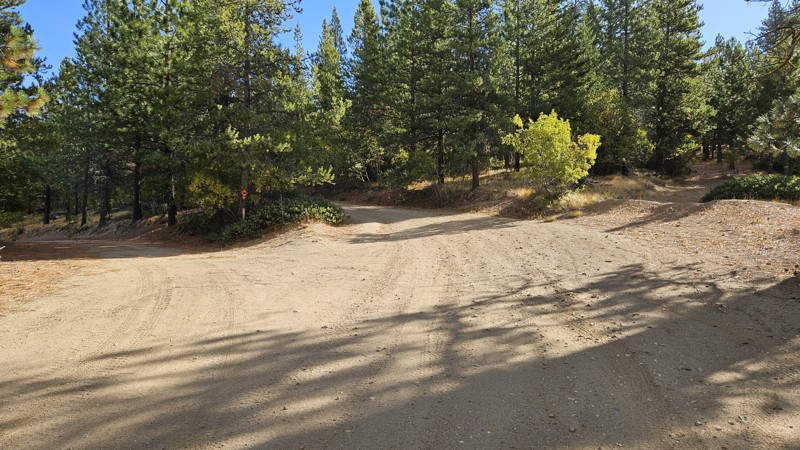 Roaring Ridge Road Trail Review Photo