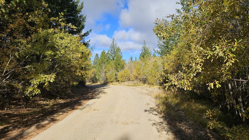 Roaring Ridge Road Trail Review Photo
