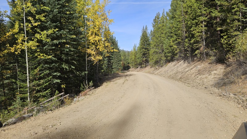 Cougar Creek Road Trail Review Photo