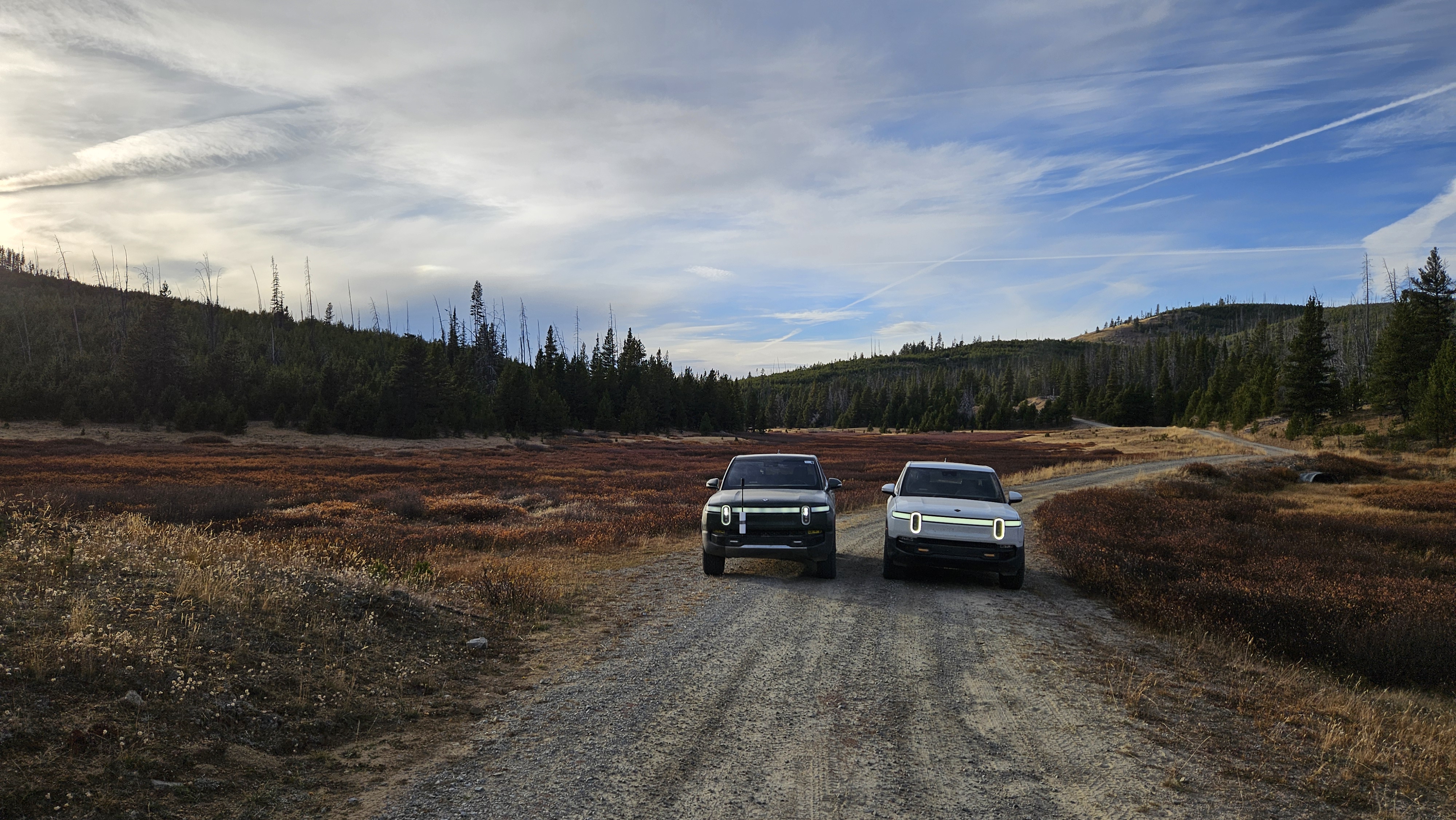Meadows-Toats Road - Beginner Trails