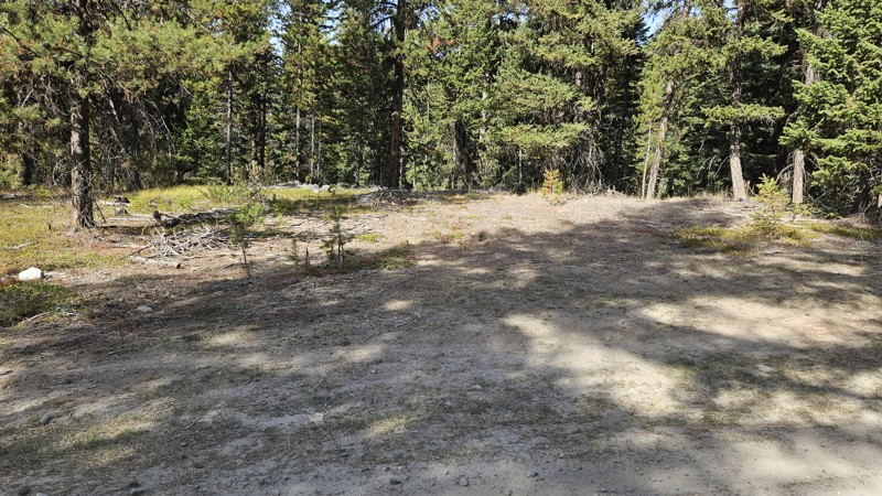 Nine Mile Road Trail Review Photo