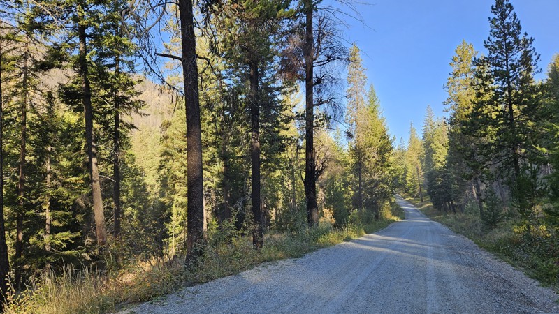 Salmon Meadows Trail Review Photo