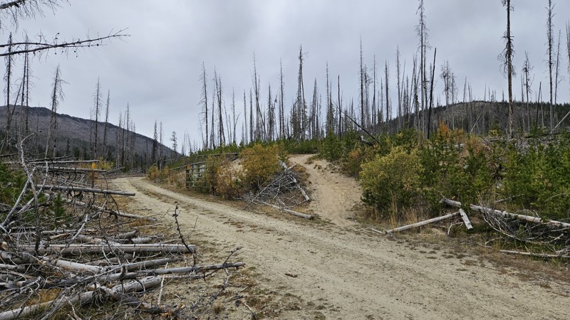 Mid Beaver Trail Review Photo