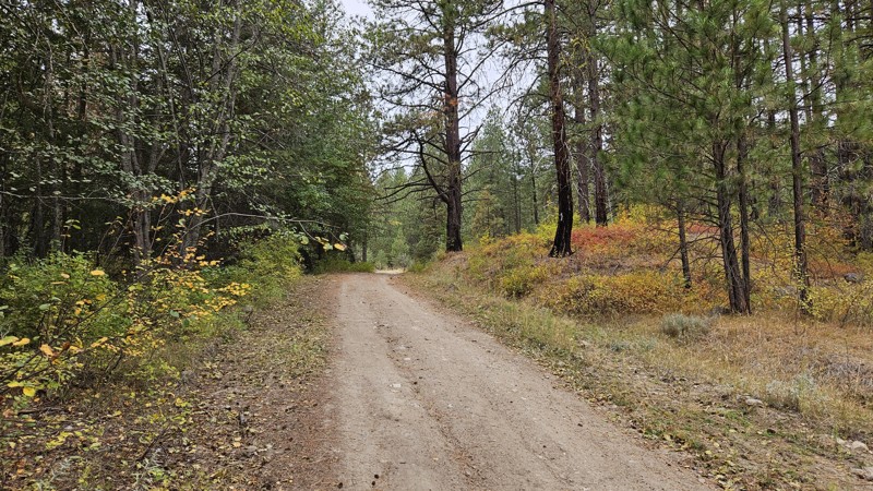 Peacock Mountain Trail Review Photo