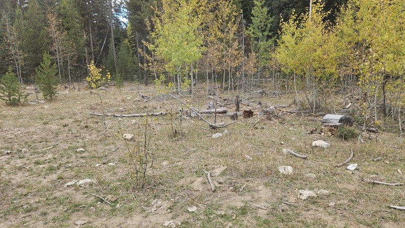 South Beaver Trail Review Photo