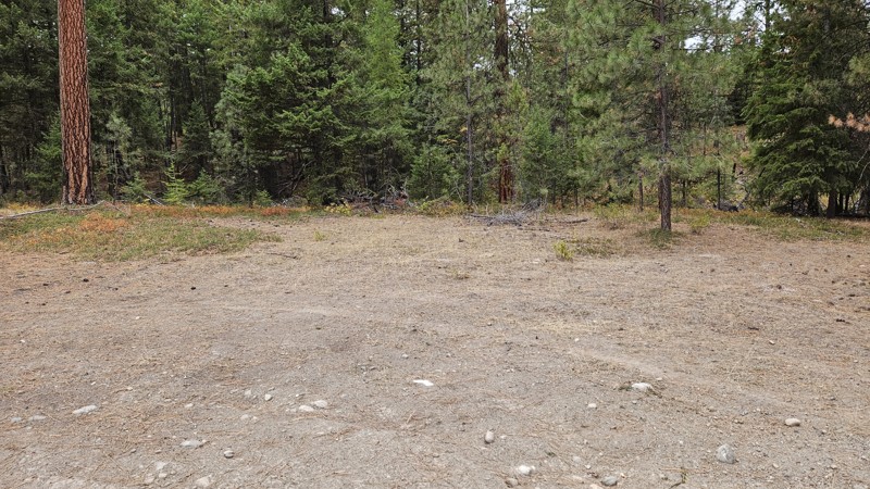 South Fork Salmon Creek Trail Review Photo