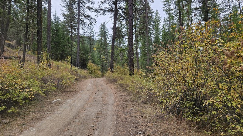 West Fork Buzzard Lake Road Trail Review Photo