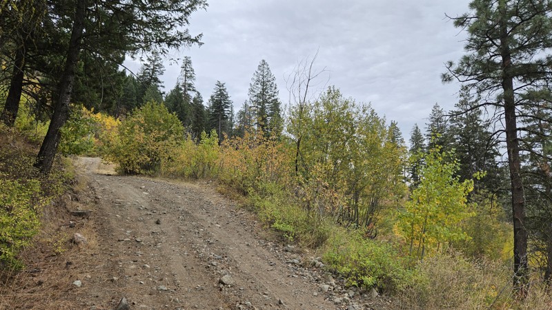 West Fork Buzzard Lake Road Trail Review Photo