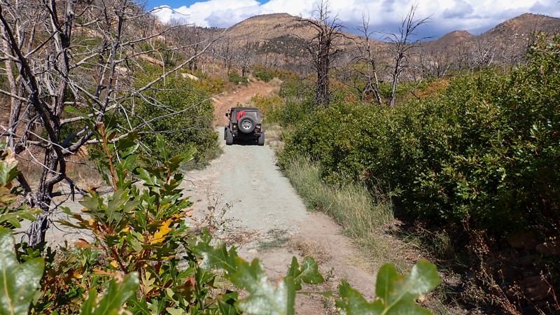 Colorado: Spring Creek Hero Photo