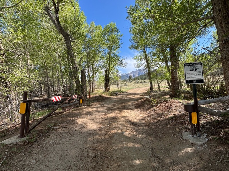 Bald Mountain Road Trail Review Photo