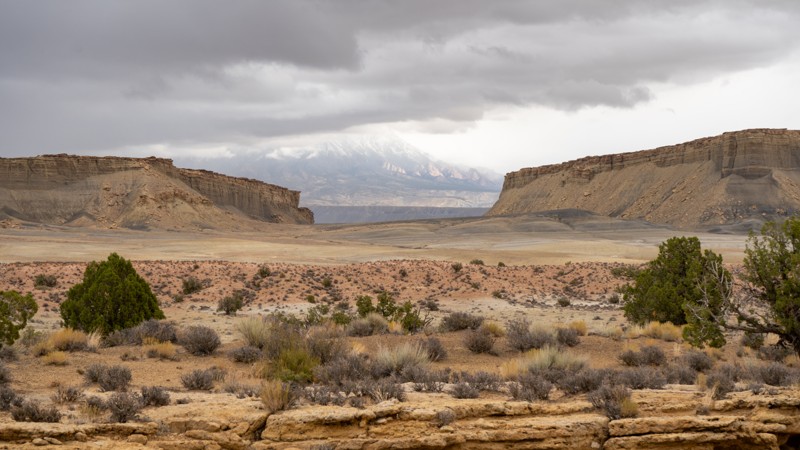 Eggnog - Star Springs Road Trail Review Photo