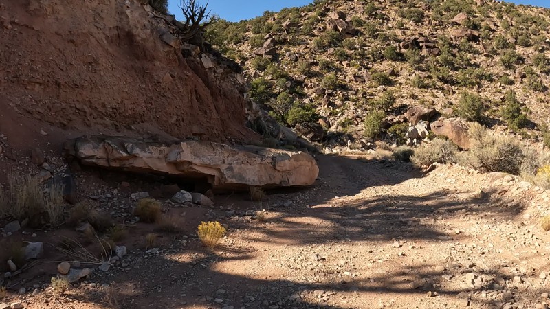 Eggnog - Star Springs Road Trail Review Photo