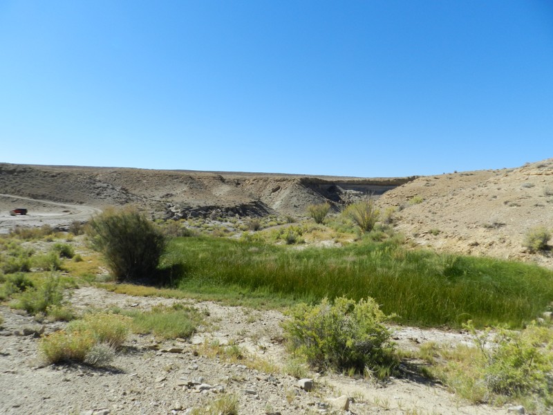 Eggnog - Star Springs Road Trail Review Photo