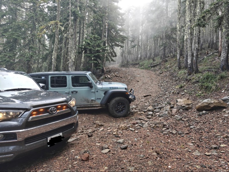 Mt. Defiance Trail Review Photo