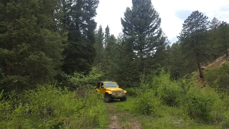 Colorado: Ruts Hero Photo