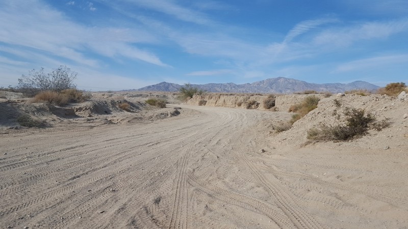 California: Palm Wash Hero Photo
