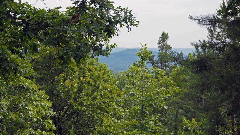 Arkansas: Prothane Point E12 - Hot Springs ORV Park Hero Photo