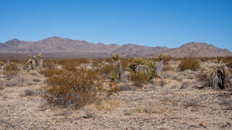 Hercules' Finger Access Trail Review Photo