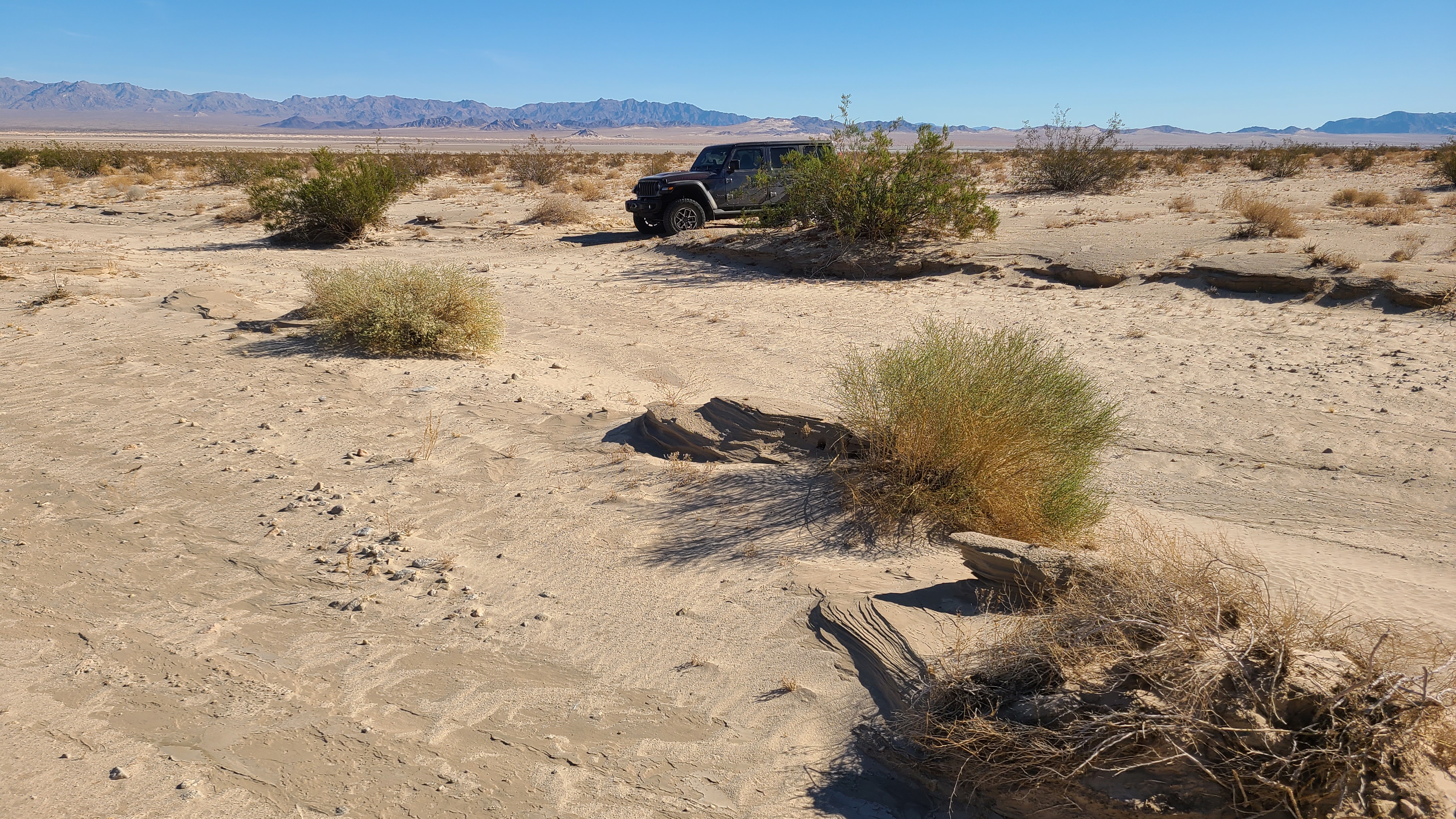 Old Patton Road - Beginner Trails