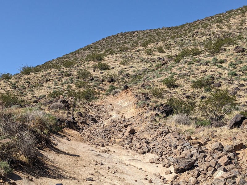 Mesquite Canyon Road Trail Review Photo