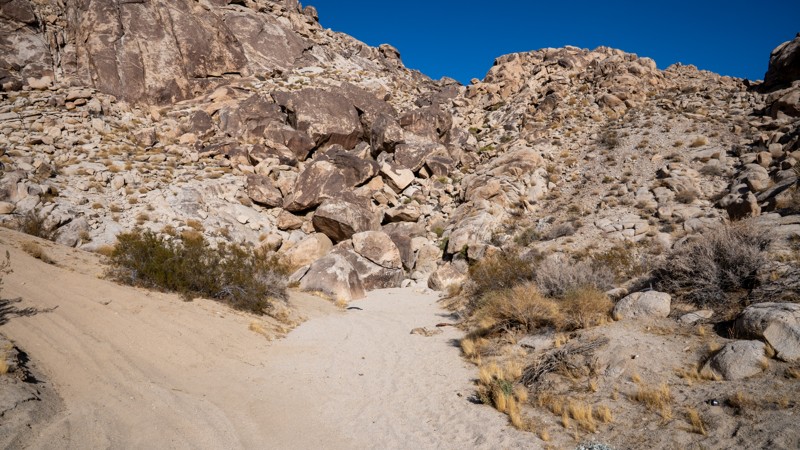 Stellar Road aka Skull Rock Trail Review Photo