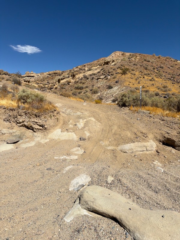 EP 15 Trail Review Photo