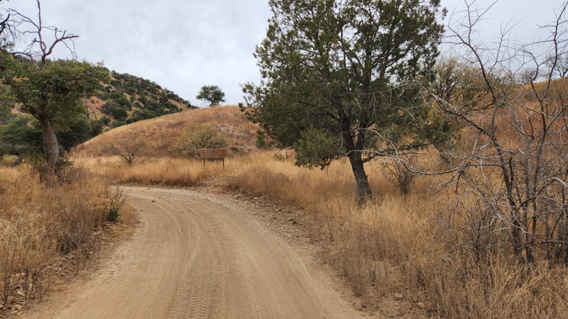 Melendrez Pass Trail Review Photo