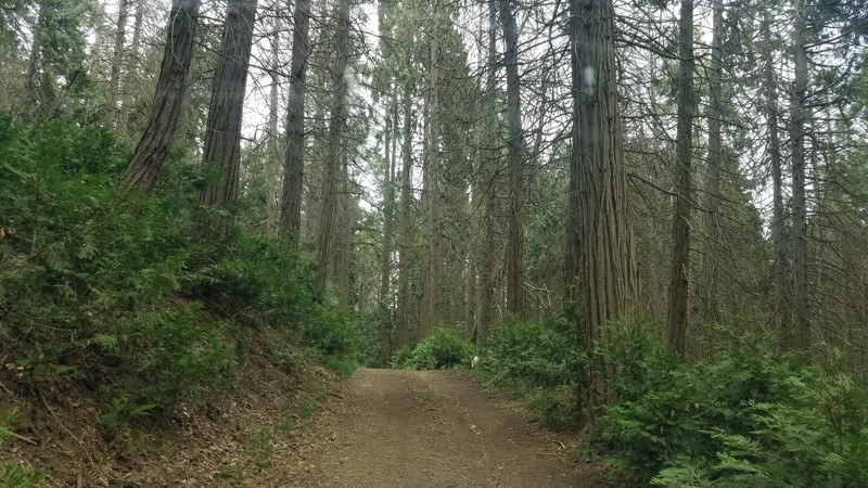 California: Black Gulch Jeep Trail Hero Photo