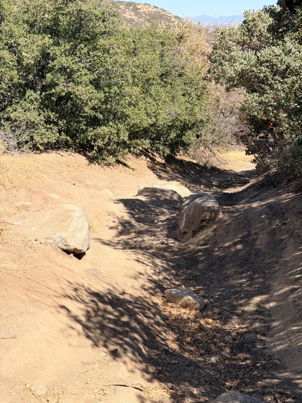 Black Gulch Jeep Trail Trail Review Photo