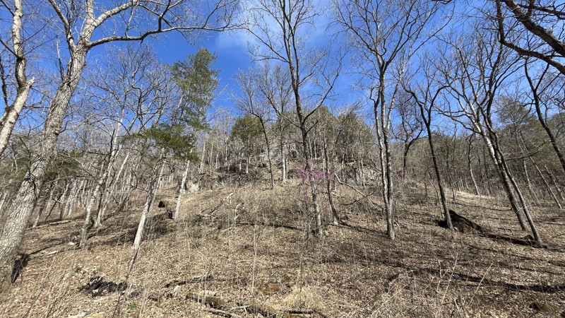 CR 106-535 Trail Review Photo