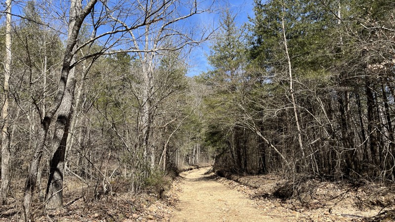 CR 106-B Trail Review Photo