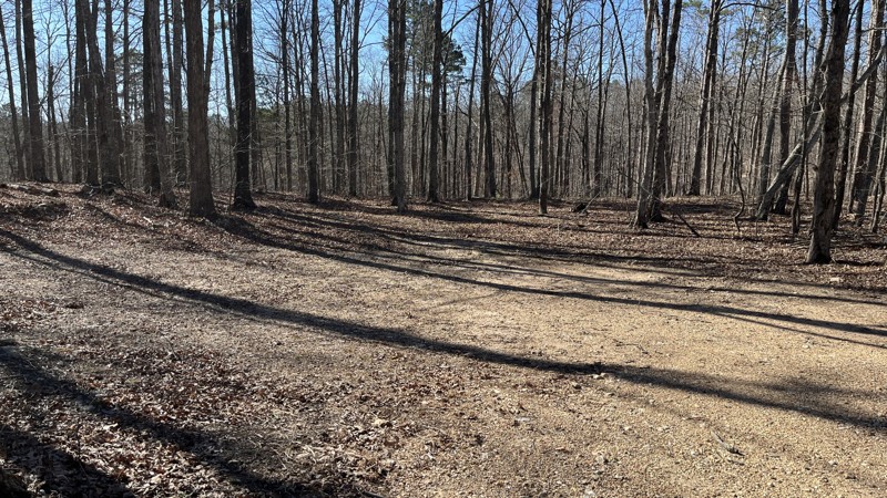CR 250-C Trail Review Photo
