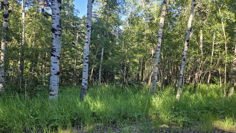 Kelley Spur Road Trail Review Photo