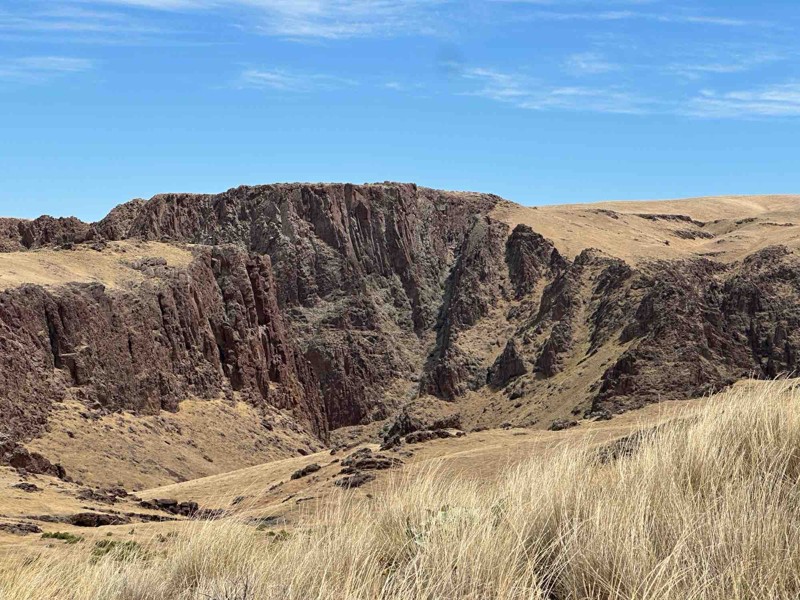 Pigeon Road Trail Review Photo