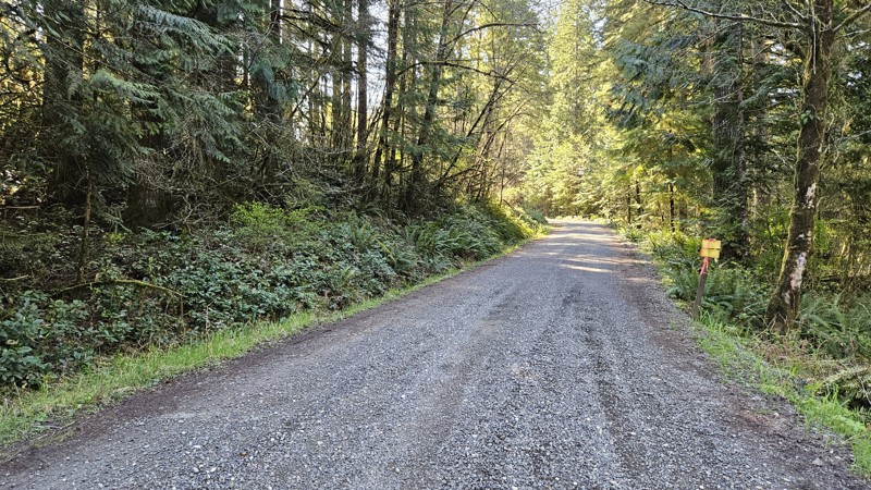 E-Line Trail Review Photo