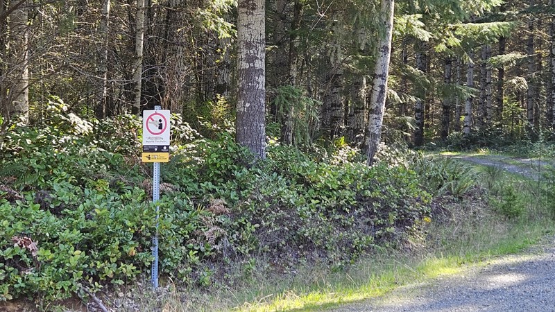 E-Line Trail Review Photo