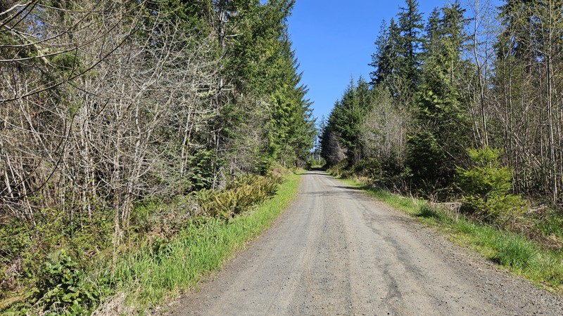 D-1000 Trail Review Photo