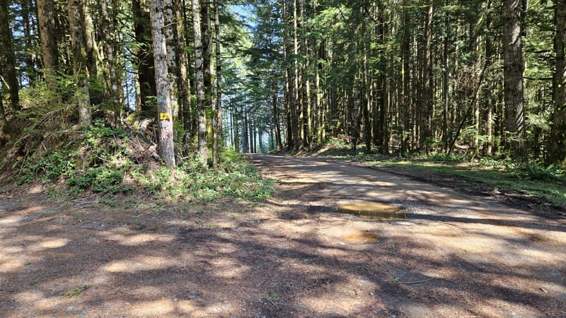 D-1500 Trail Review Photo