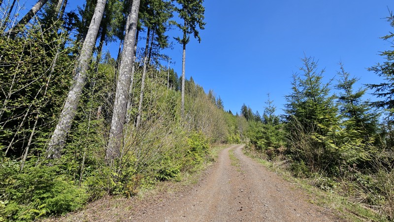 D-1510 Trail Review Photo